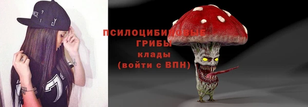 а пвп мука Алзамай