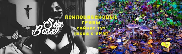 марки lsd Мегион